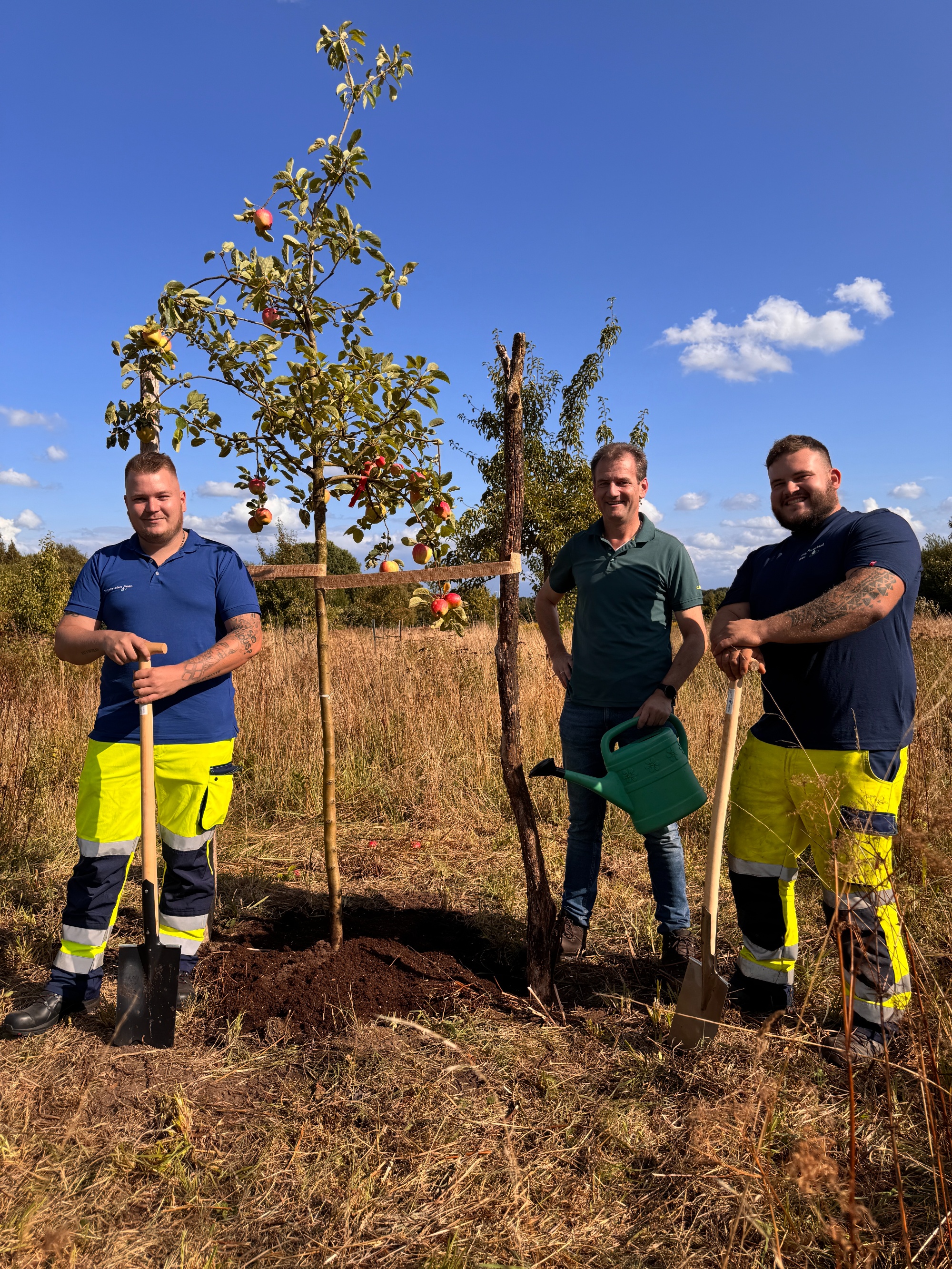 Drei Männer stehen auf einer Wiese neben einem gerade gepflanzten Apfelbaum, der etwa zweieinhalb Meter hoch ist und auch ein paar Äpfel trägt. Der eine Mann steht links neben dem Baum und hält einen Spaten in der Hand, die anderen beiden stehen rechts neben dem Baum. Derjenige, der näher am Baum steht, hält eine Gießkanne in der Hand, der andere einen Spaten. 
